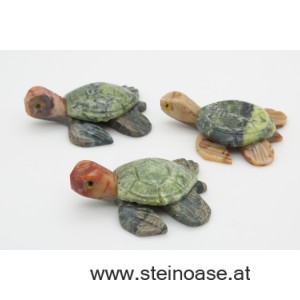 Wasserschildkröte Serpentin